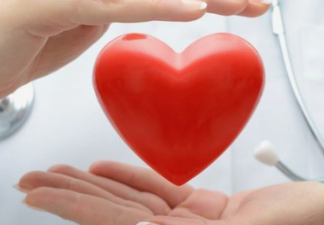 Heart-Healthy Delights: Essential Foods for a Stronger Heart