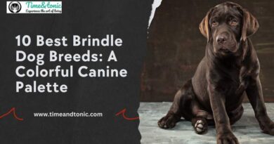 Brindle Dog Breeds