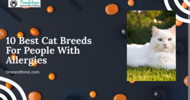 Best Cat Breeds For People With Allergies