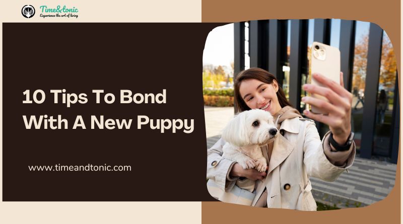 Tips To Bond With A New Puppy