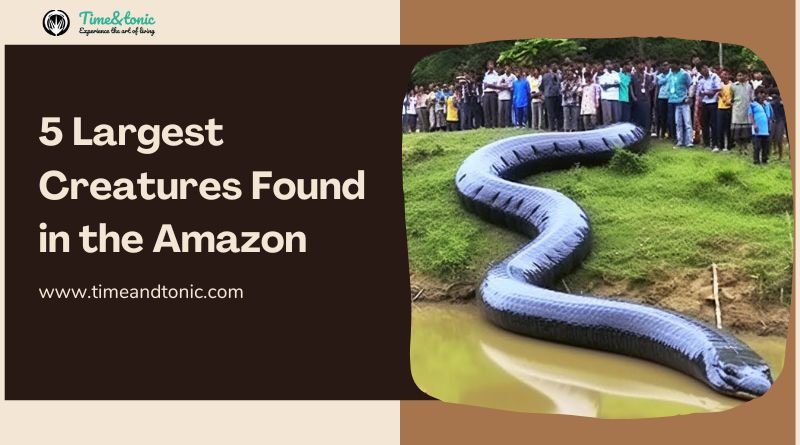 5 Largest Creatures Found in the Amazon