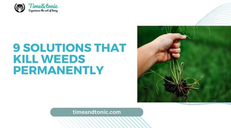 9 Solutions that Kill Weeds Permanently