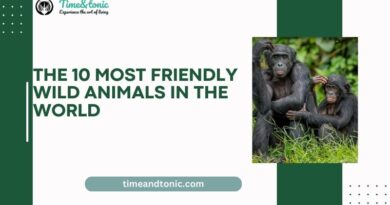 The 10 Most Friendly Wild Animals in the World