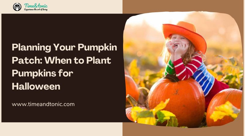 Planning Your Pumpkin Patch