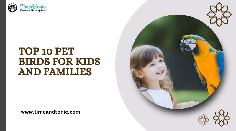 Top 10 Pet Birds for Kids and Families
