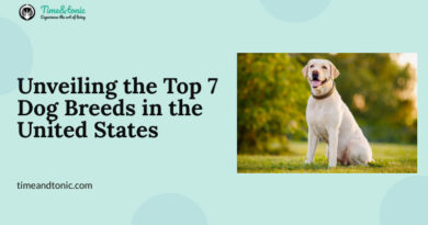 Top 7 Dog Breeds in the United States