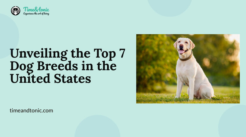 Top 7 Dog Breeds in the United States