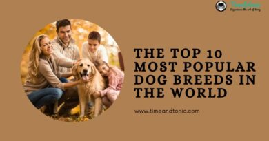 Most Popular Dog Breeds In The World