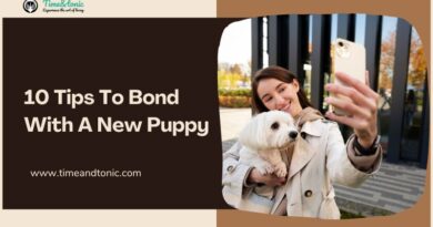 Tips To Bond With A New Puppy