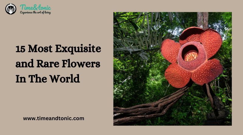 15 Most Exquisite and Rare Flowers In The World