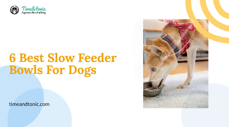 Slow Feeder Bowls For Dogs