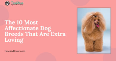 Most Affectionate Dog Breeds