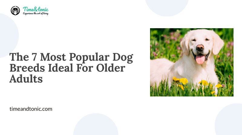 The 7 Most Popular Dog Breeds Ideal For Older Adults