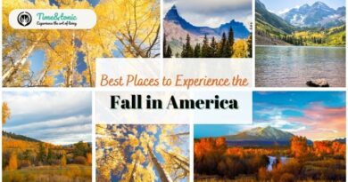 Fall Foliage in America