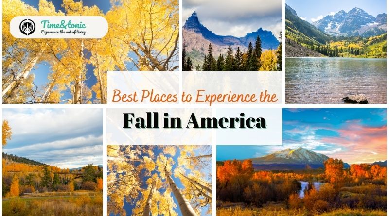 Fall Foliage in America