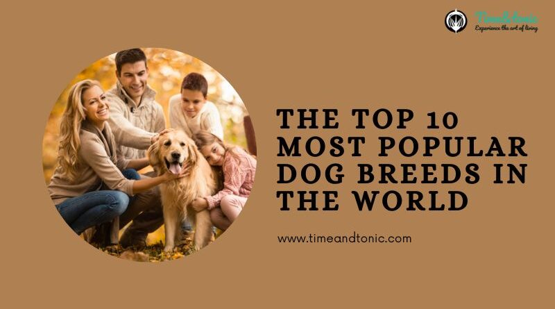 Most Popular Dog Breeds In The World