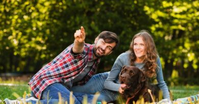 Top 10 Best Family Dogs Your Perfect Canine Companion Awaits
